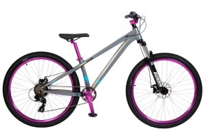 ORIENT LOOP 27.5 GREY